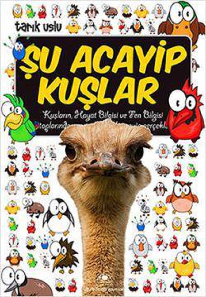 Ürün Resmi