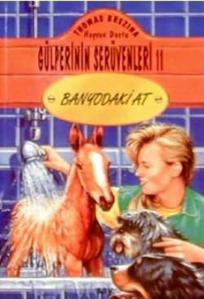 Ürün Resmi