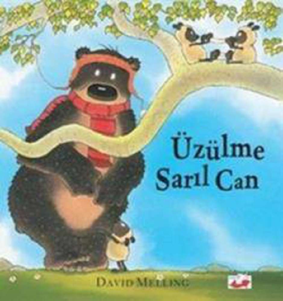 Ürün Resmi