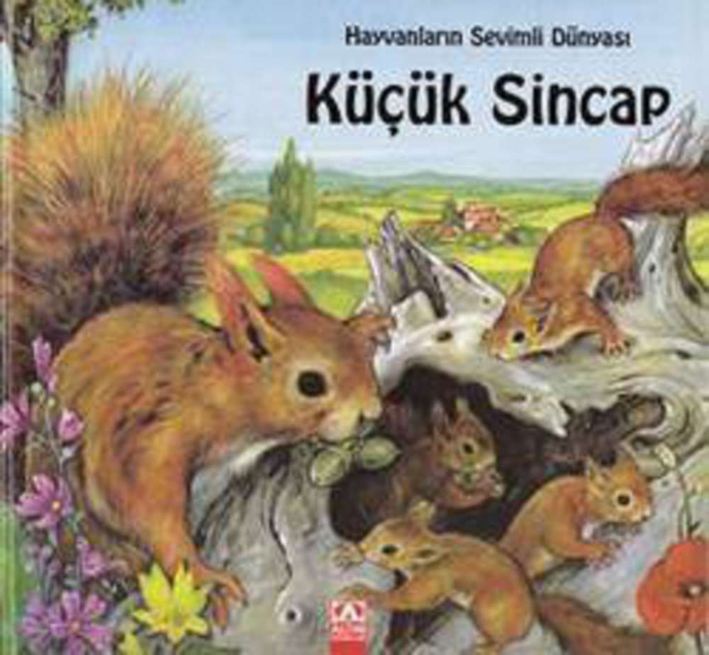 Ürün Resmi