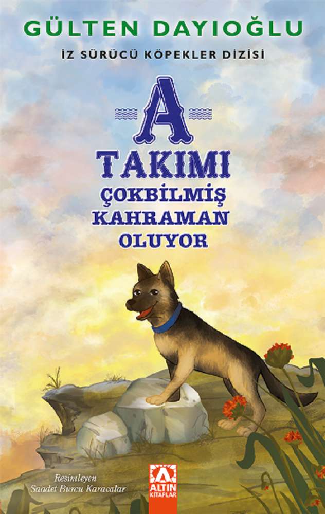 Ürün Resmi