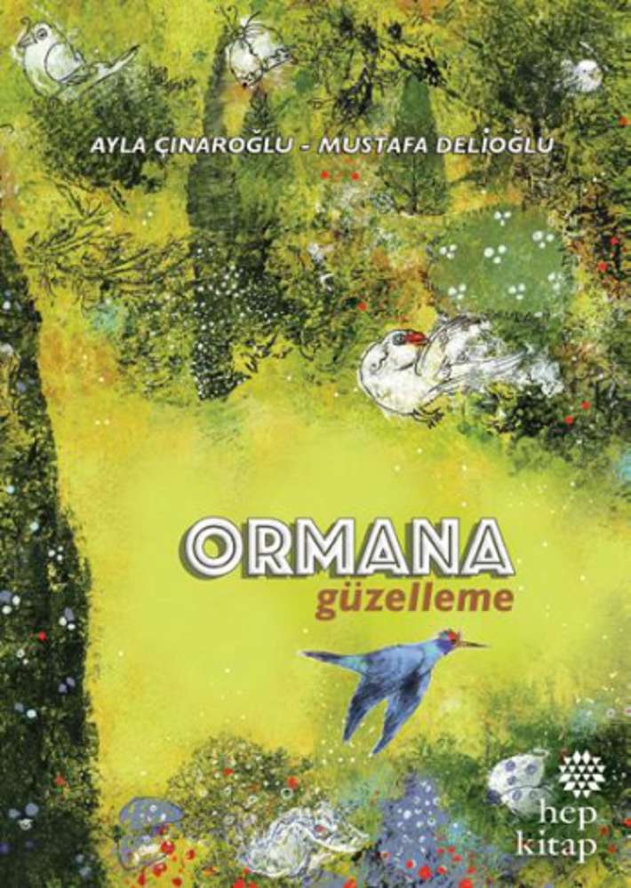 Ürün Resmi