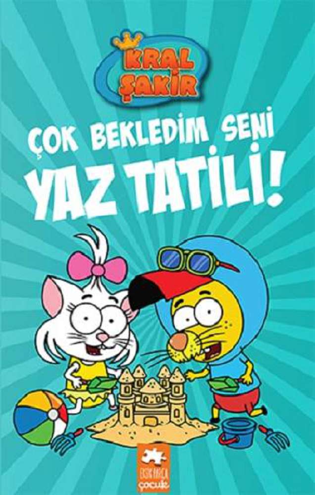 Ürün Resmi