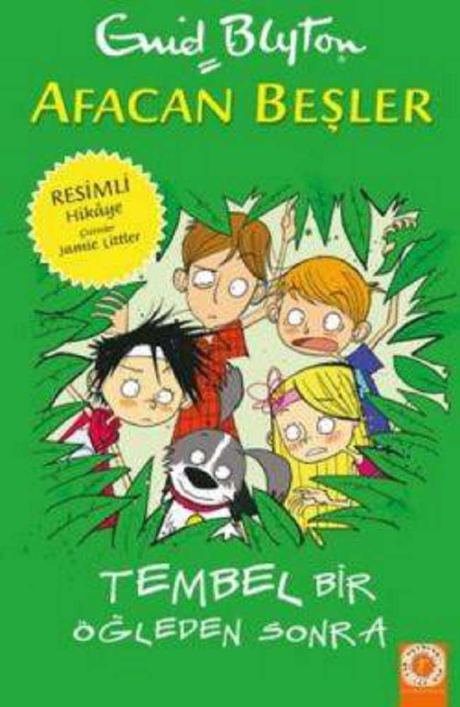 Ürün Resmi