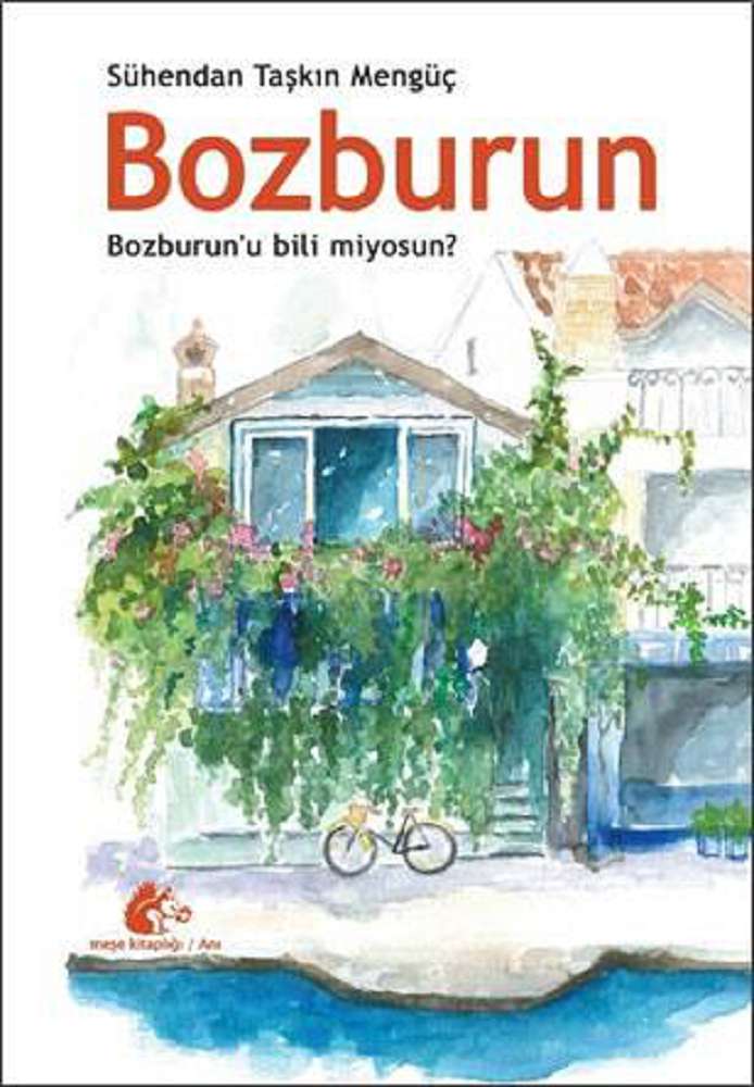 Ürün Resmi