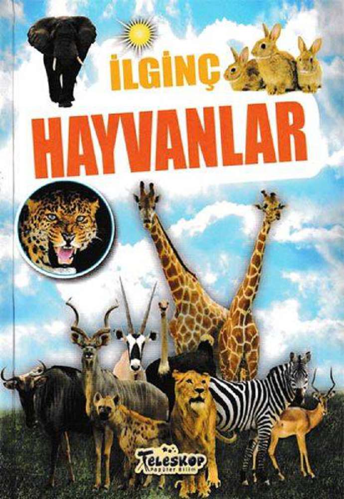 Ürün Resmi