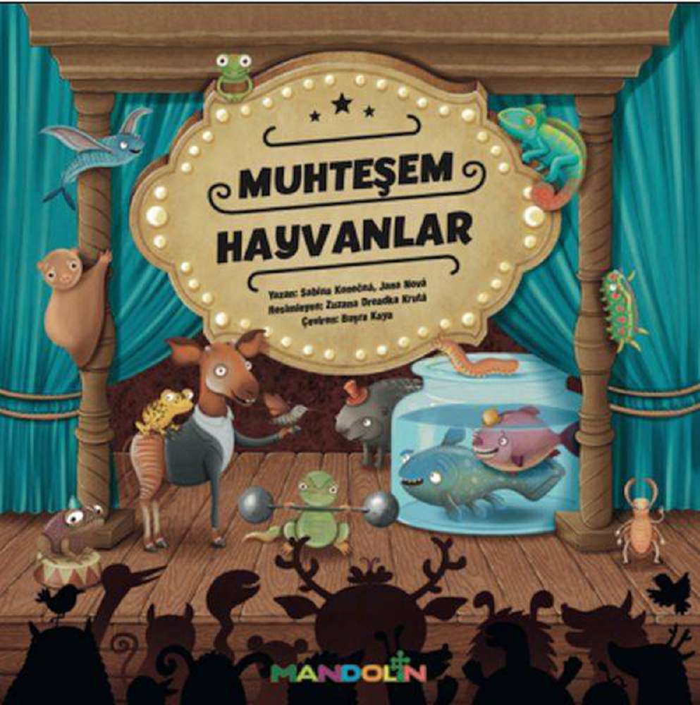 Ürün Resmi
