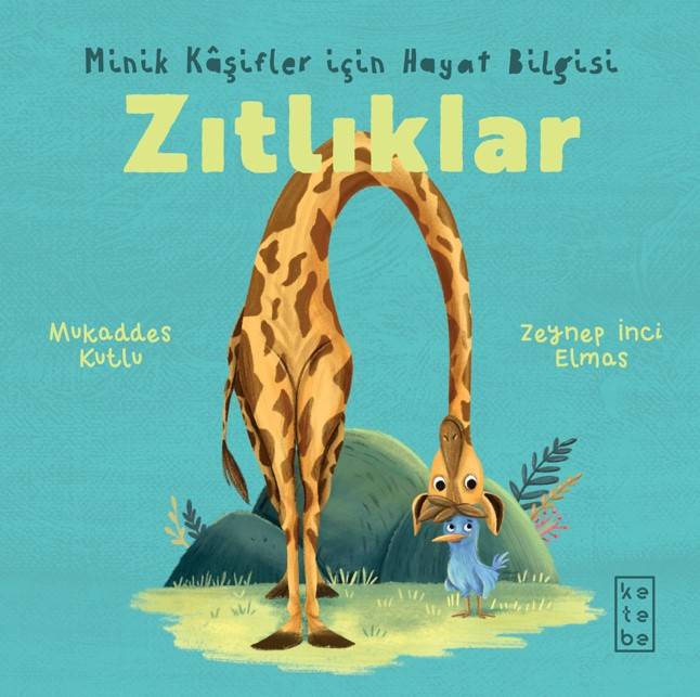 Ürün Resmi