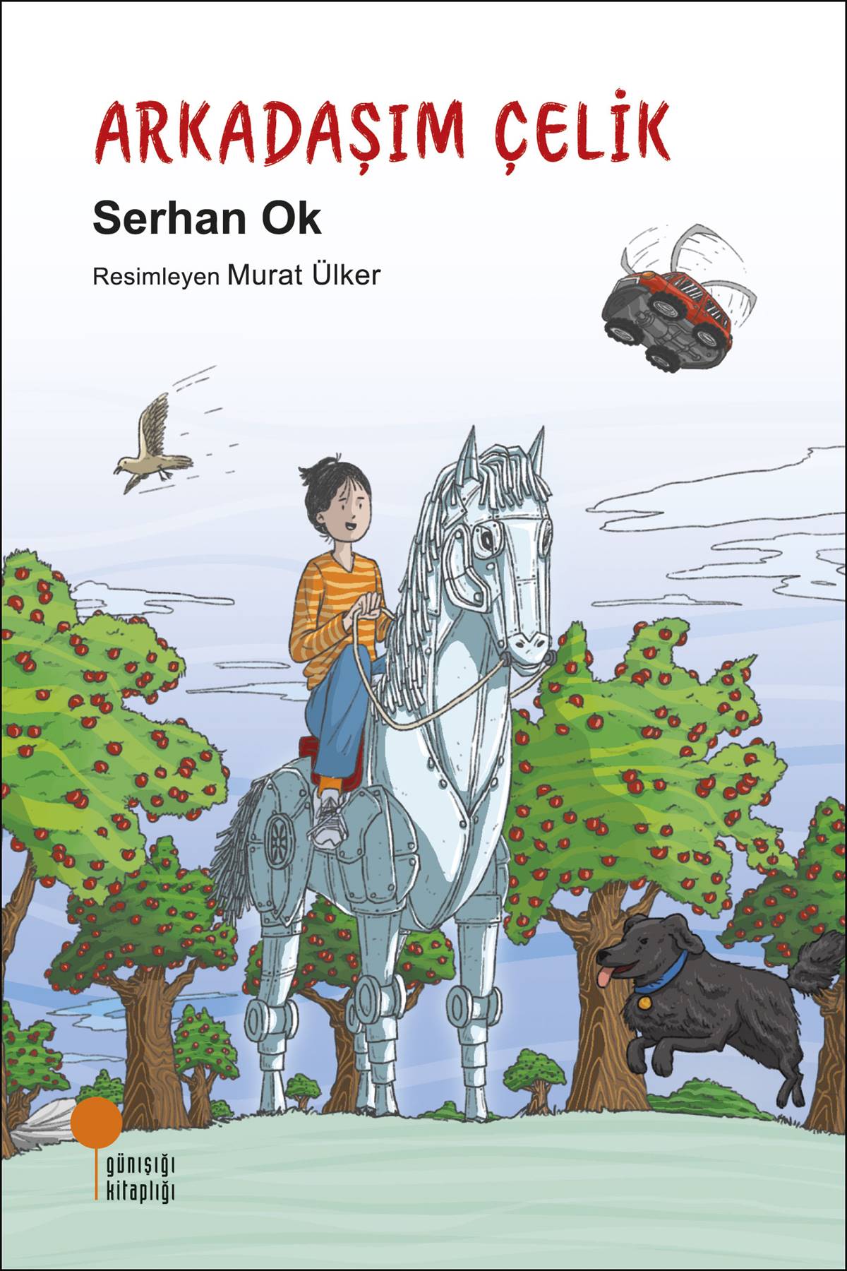 Ürün Resmi