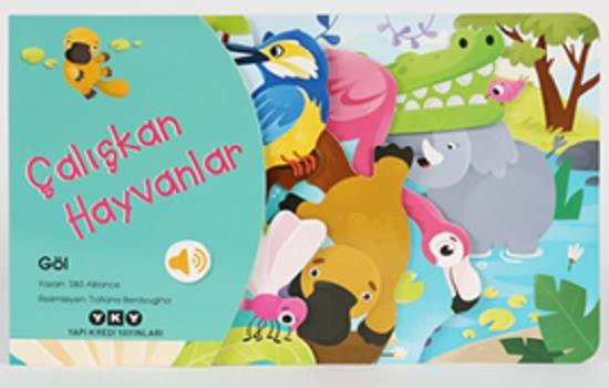 Ürün Resmi