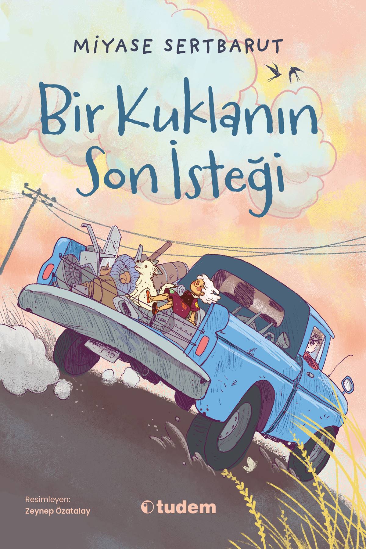 Ürün Resmi