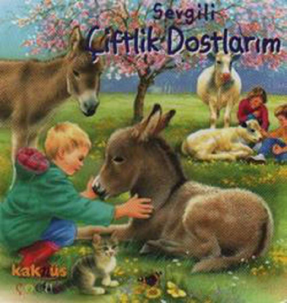 Ürün Resmi