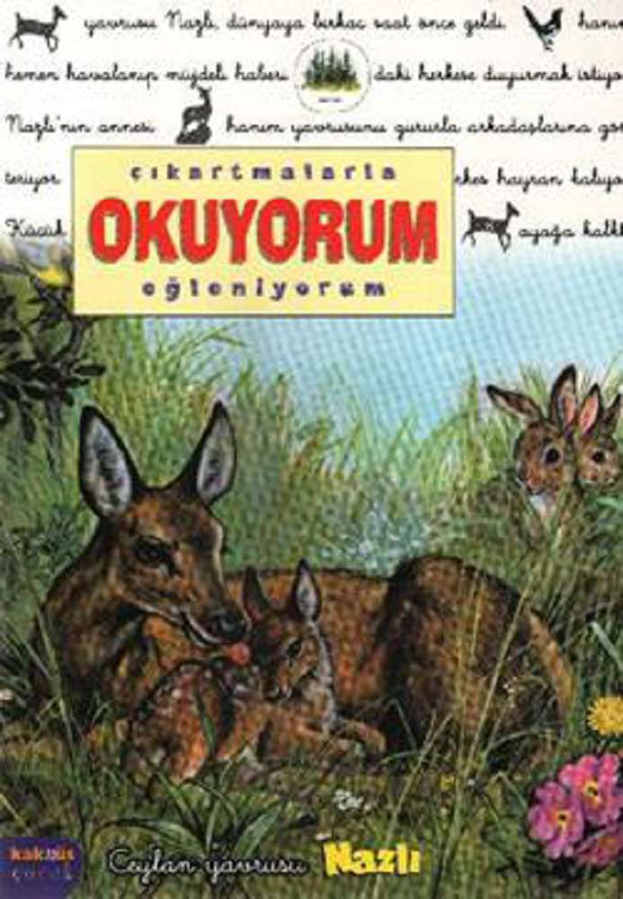 Ürün Resmi