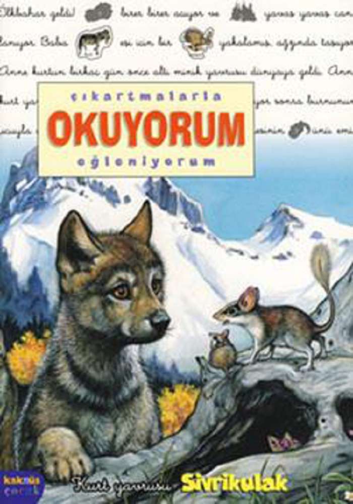 Ürün Resmi