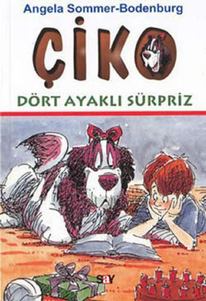 Ürün Resmi
