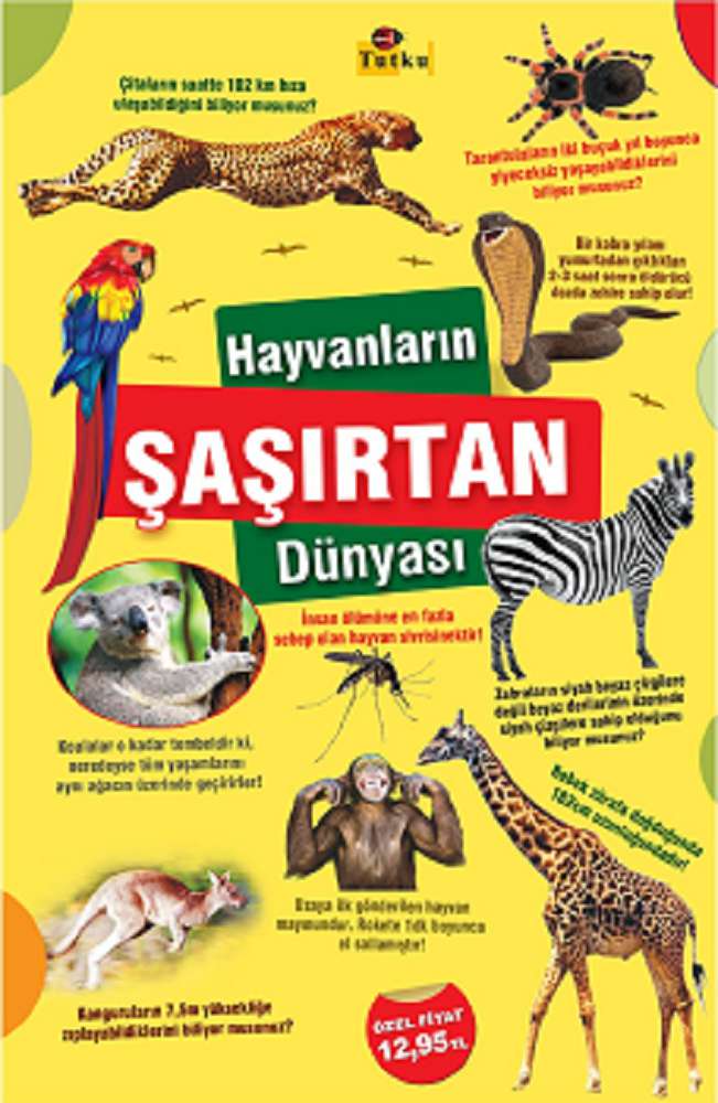 Ürün Resmi