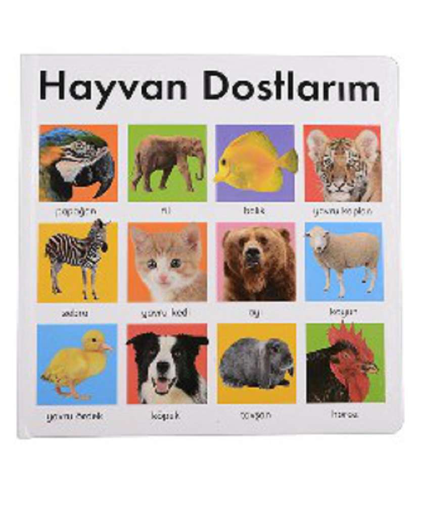 Ürün Resmi