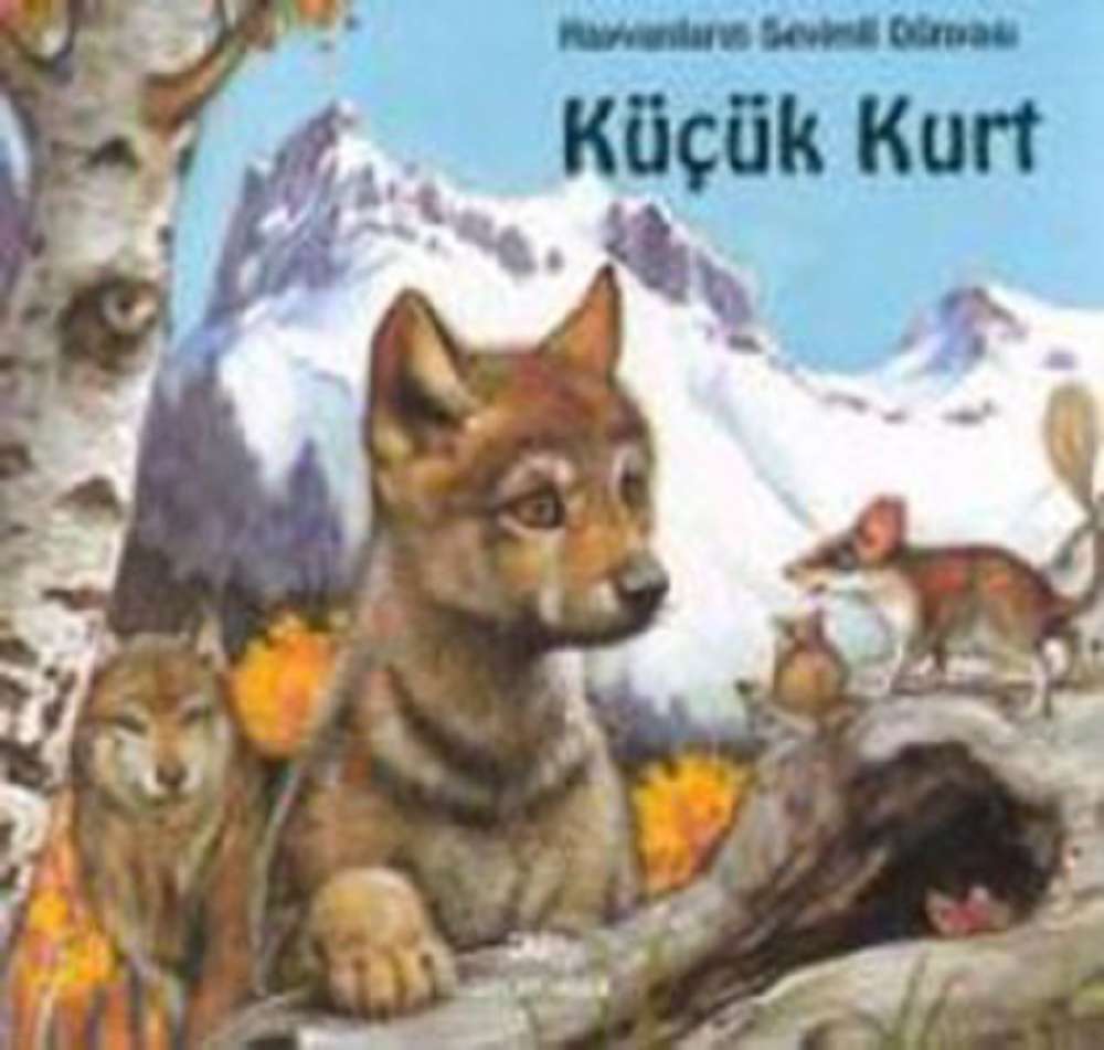Ürün Resmi